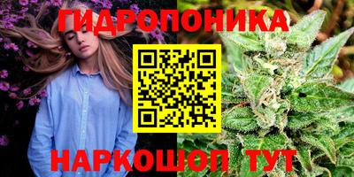 PSILOCYBIN Будённовск